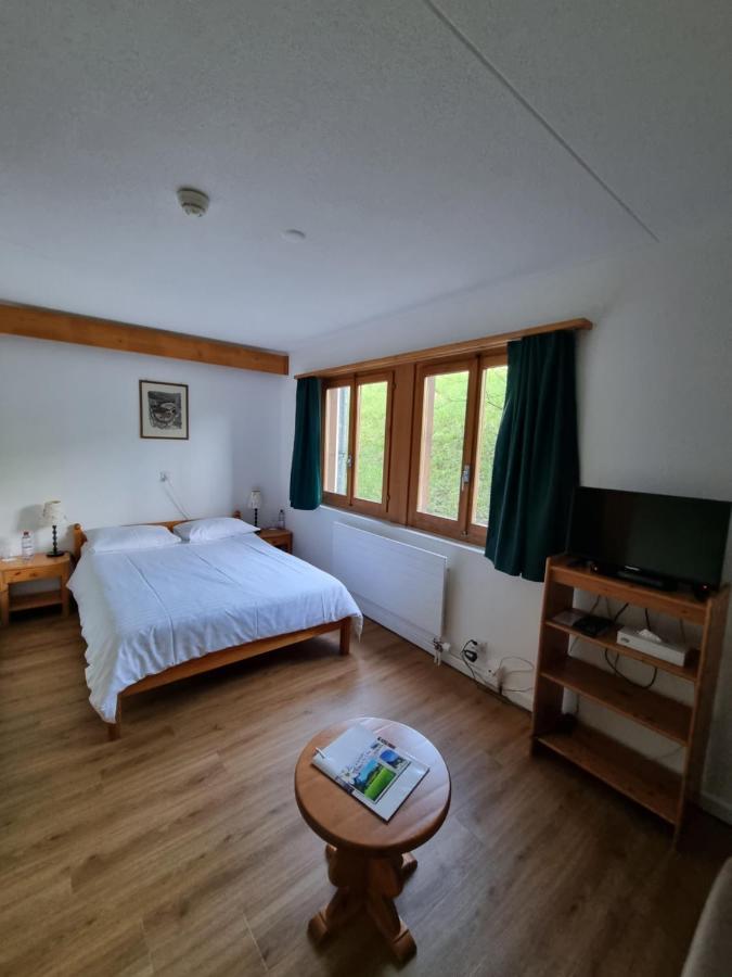 Hotel Roc Et Neige Chateau-d'Oex Luaran gambar